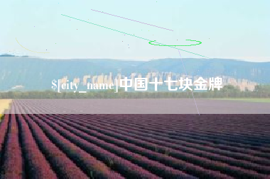 太原中国十七块金牌