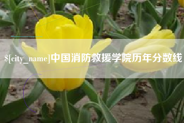 太原中国消防救援学院历年分数线