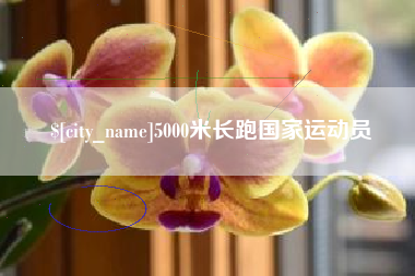 太原5000米长跑国家运动员
