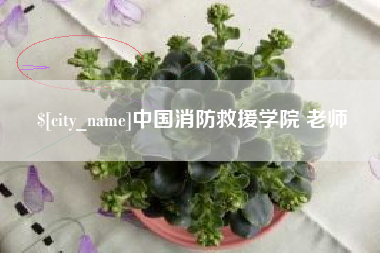 太原中国消防救援学院 老师