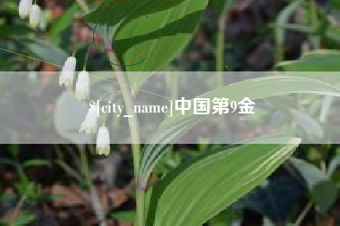太原中国第9金