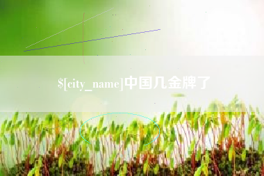 太原中国几金牌了