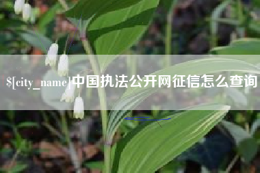 太原中国执法公开网征信怎么查询