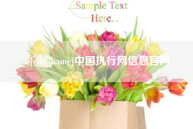 太原中国执行网信息官网