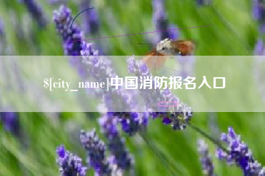 太原中国消防报名入口