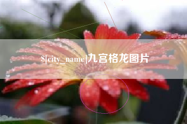 太原九宫格龙图片