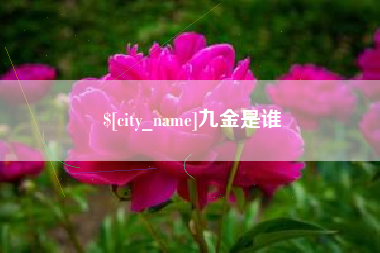 太原九金是谁