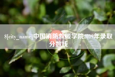 太原中国消防救援学院2019年录取分数线