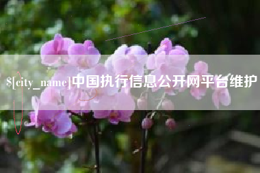 太原中国执行信息公开网平台维护