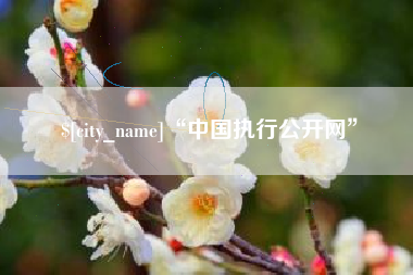 太原“中国执行公开网”