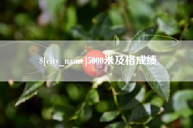 太原5000米及格成绩