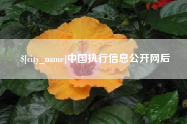 太原中国执行信息公开网后