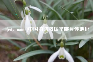 太原中国消防救援学院具体地址