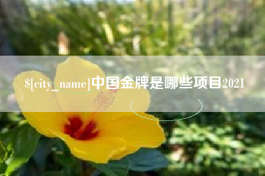 太原中国金牌是哪些项目2021