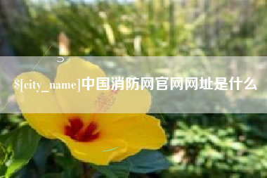 太原中国消防网官网网址是什么