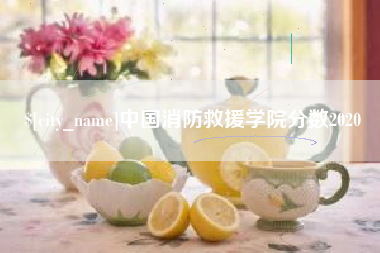 太原中国消防救援学院分数2020