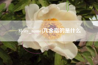 太原九金指的是什么