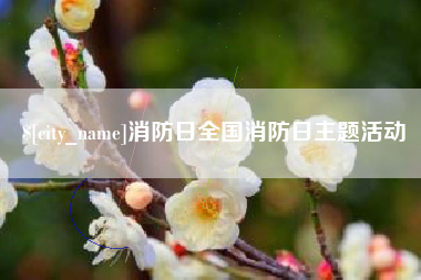 太原消防日全国消防日主题活动