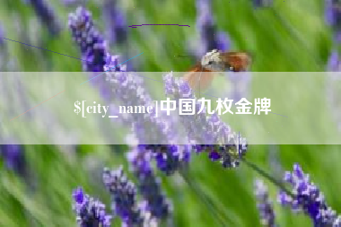 太原中国九枚金牌