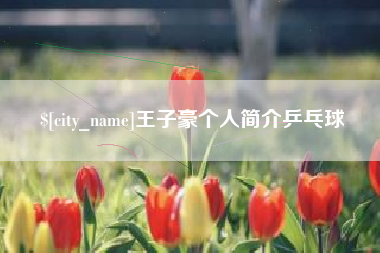 太原王子豪个人简介乒乓球