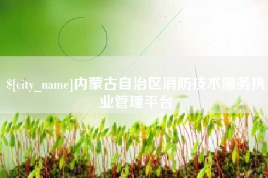 太原内蒙古自治区消防技术服务执业管理平台