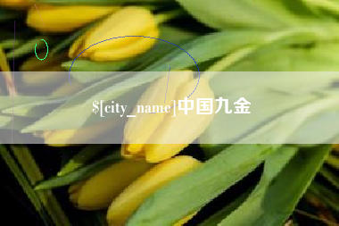 太原中国九金