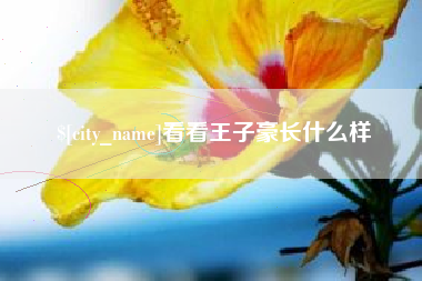 太原看看王子豪长什么样