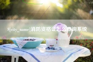 太原消防资格证怎么查询系统