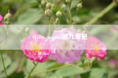 太原第九金是