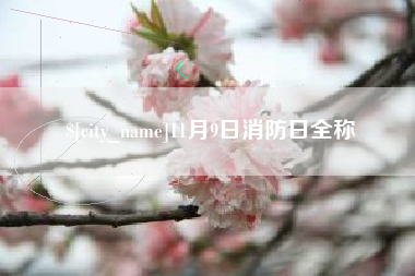 太原11月9日消防日全称