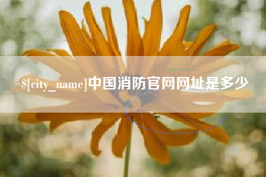 太原中国消防官网网址是多少