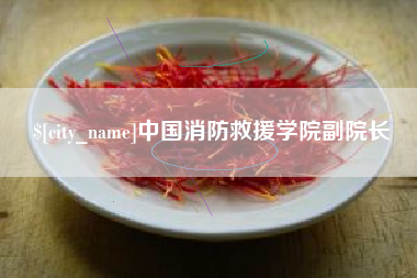 太原中国消防救援学院副院长