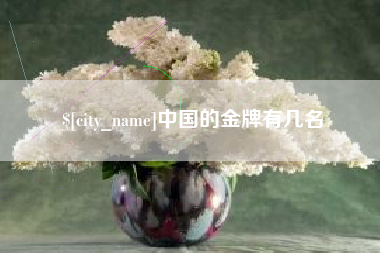 太原中国的金牌有几名
