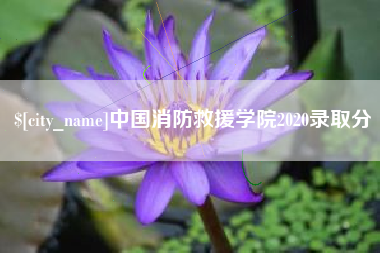 太原中国消防救援学院2020录取分