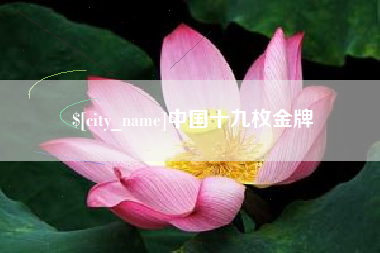 太原中国十九枚金牌