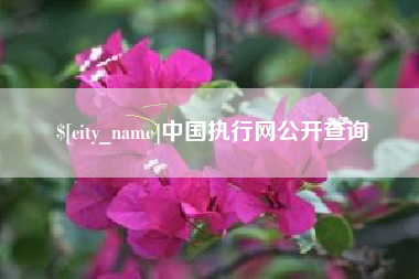 太原中国执行网公开查询