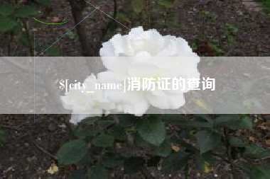 太原消防证的查询