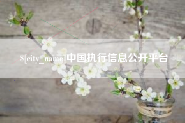 太原中国执行信息公开平台