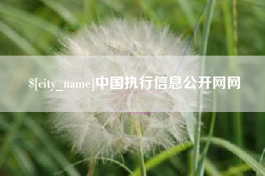 太原中国执行信息公开网网