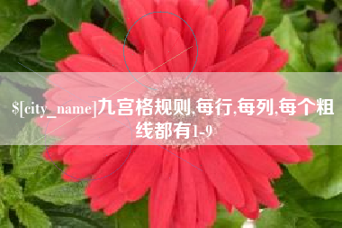 太原九宫格规则,每行,每列,每个粗线都有1-9