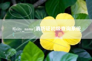 太原消防证初级查询系统
