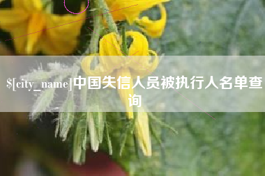 太原中国失信人员被执行人名单查询