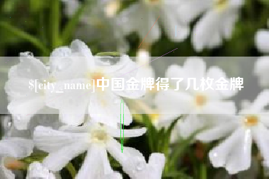 太原中国金牌得了几枚金牌