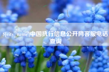 太原中国执行信息公开网客服电话查询