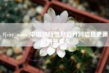 太原中国执行信息公开网信息更新时间是多久