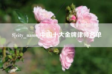 太原中国十大金牌律师名单