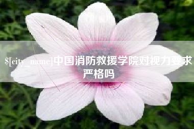 太原中国消防救援学院对视力要求严格吗