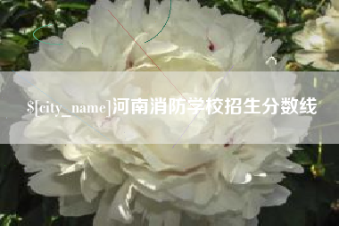 太原河南消防学校招生分数线