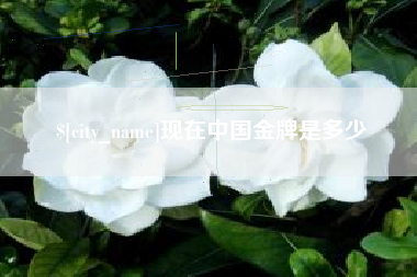 太原现在中国金牌是多少