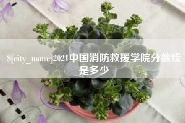 太原2021中国消防救援学院分数线是多少